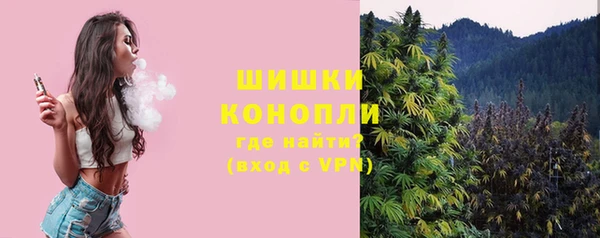 стаф Вяземский