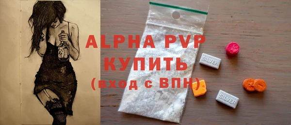 стаф Вяземский
