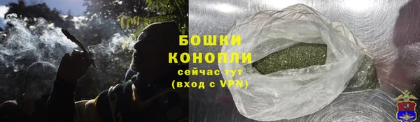 стаф Вяземский