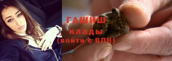 стаф Вяземский