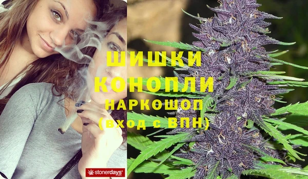 крисы Вязники
