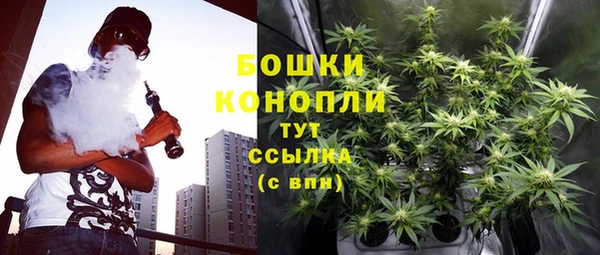 стаф Вяземский