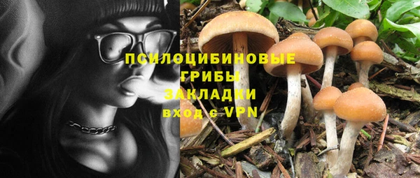 крисы Вязники