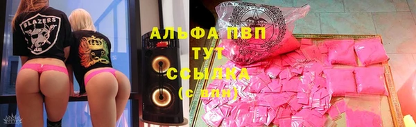 стаф Вяземский
