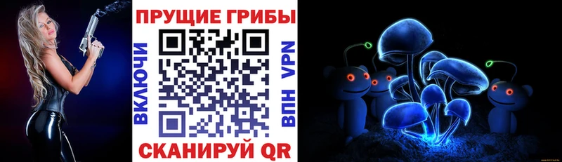 закладка  Железногорск  Галлюциногенные грибы прущие грибы 